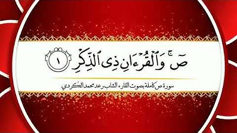 سورة ص مكتوبة بقراءة رائعة الشيخ رعد الكردي  surah sad  younesse aswills