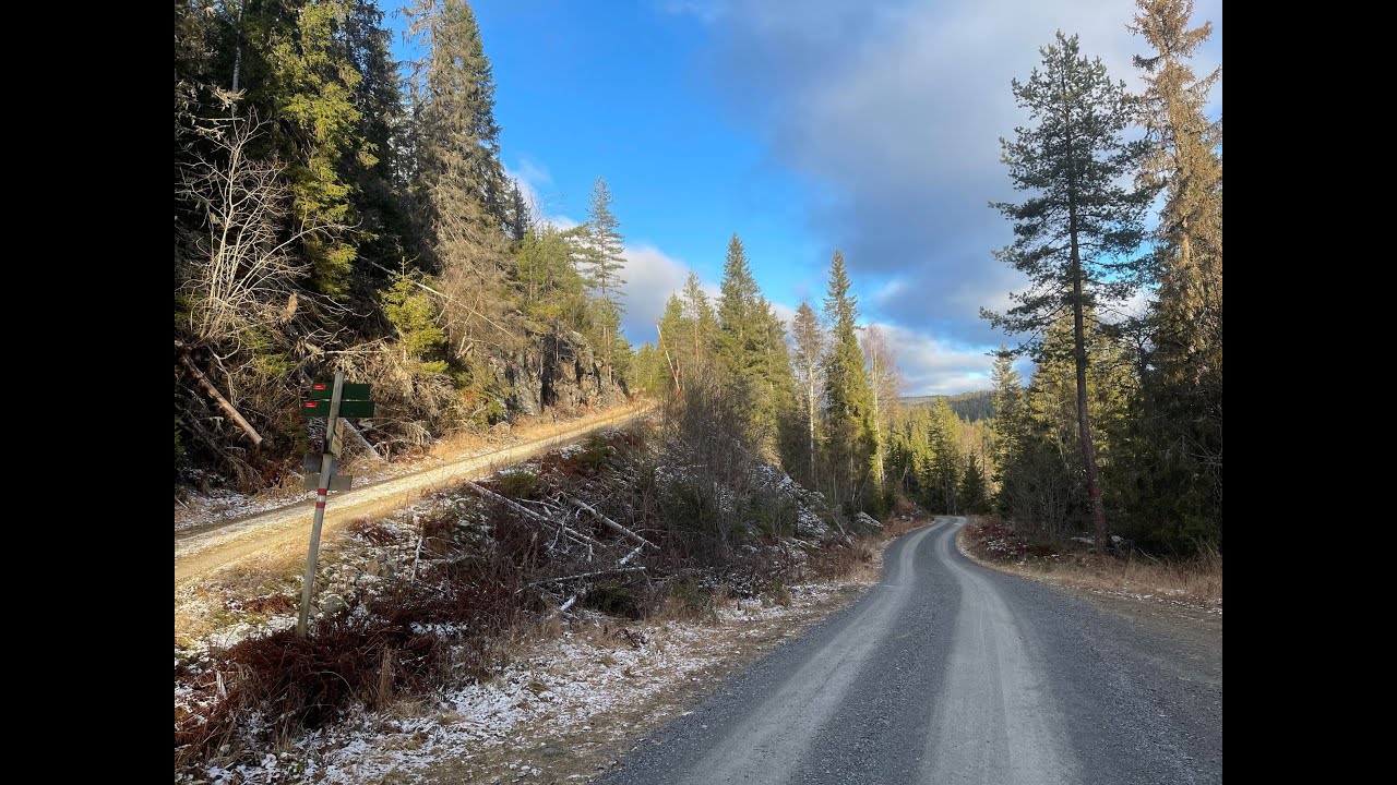 Bike ride Rykkinn - Krokskogen in low November sun. Winter just around the corner.
