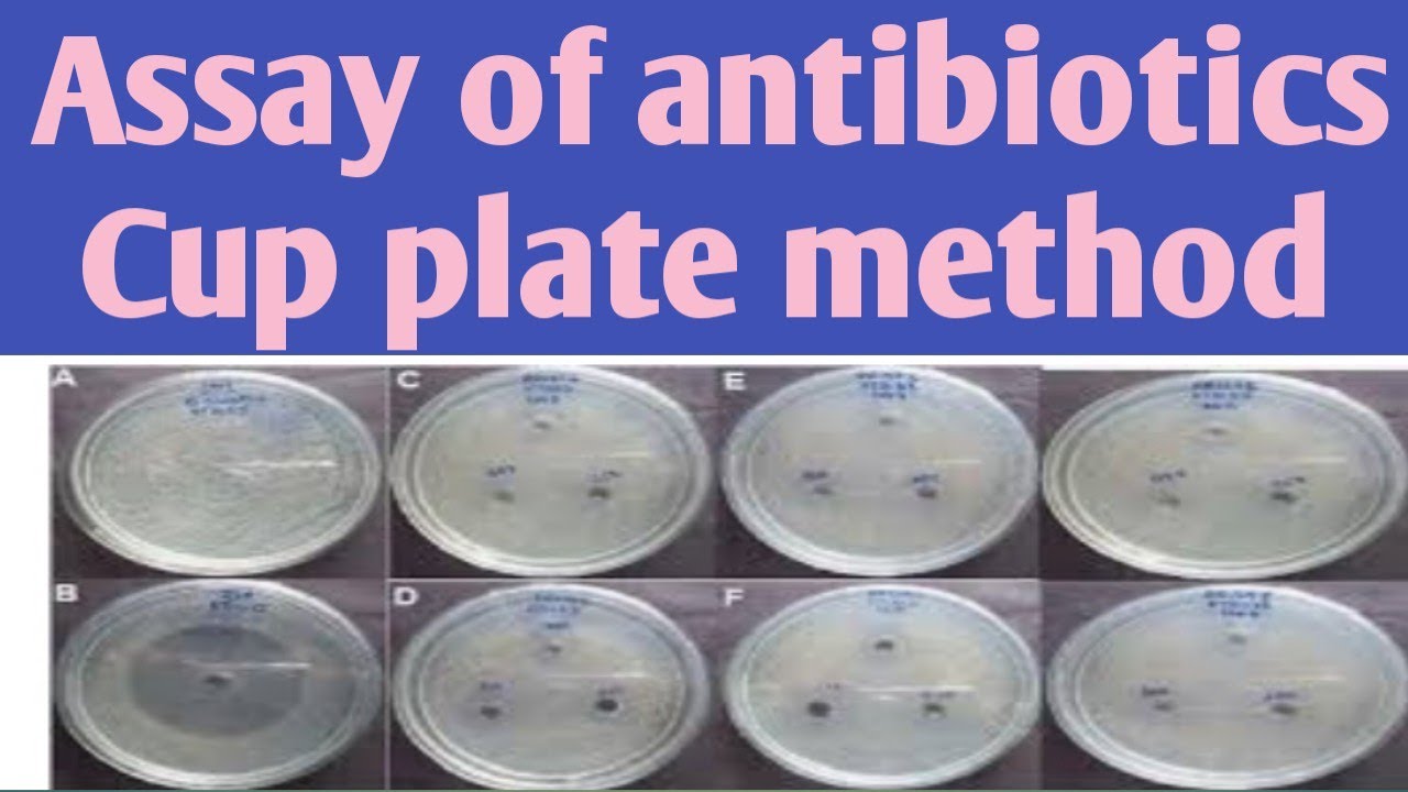 Microbiological Assay of AntibioticsCylinder plate Cup plate 