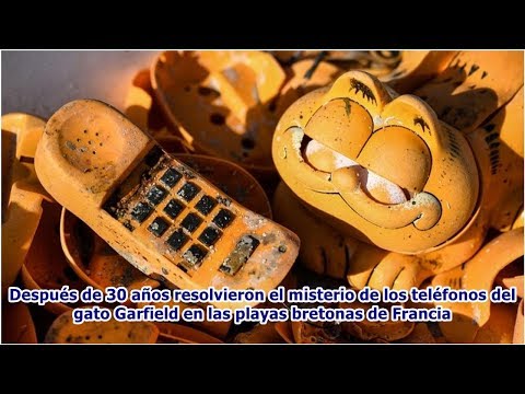 Vídeo: Na França, O Mistério Dos Telefones Para Gatos De Garfield, Encontrados Nas Praias Há 30 Anos, Foi Resolvido