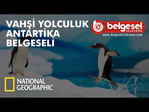 Vahşi Yolculuk Antarktika Belgeseli - Türkçe Dublaj