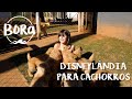 PRÓXIMA VIAGEM SERÁ SEM OS CACHORROS! Mas onde deixar? | Bora no Brasil #19