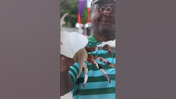 Antigua G4 Event Teaser  - GO