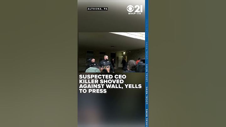 'An insult to the intelligence of the American people': Luigi Mangione yells to press before hearing