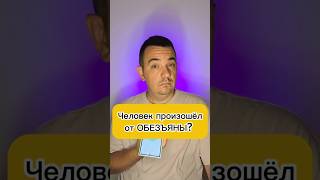 Человек произошёл от ОБЕЗЬЯНЫ? #человек #эволюция #развитие