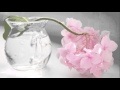 السحر الحلال