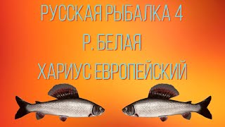 Русская рыбалка 4 • р. Белая Хариус Европейский • Состязания с призами рр4 от ЧокопайТВ