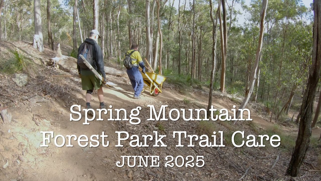 Winter solstice working on Stone Gecko Spring Mountain