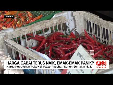 Harga Cabai Terus Naik, Emak-Emak Panik?