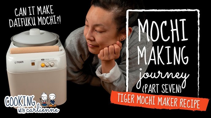 Rice Cake Machine (Mochi Maker)