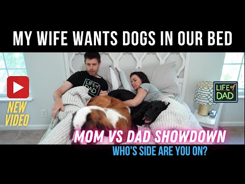 How To Convince Your Spouse To Let Dogs Sleep In Your Bed