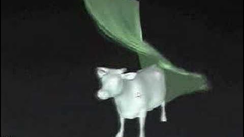 Cloth simulation with real-time collision detection