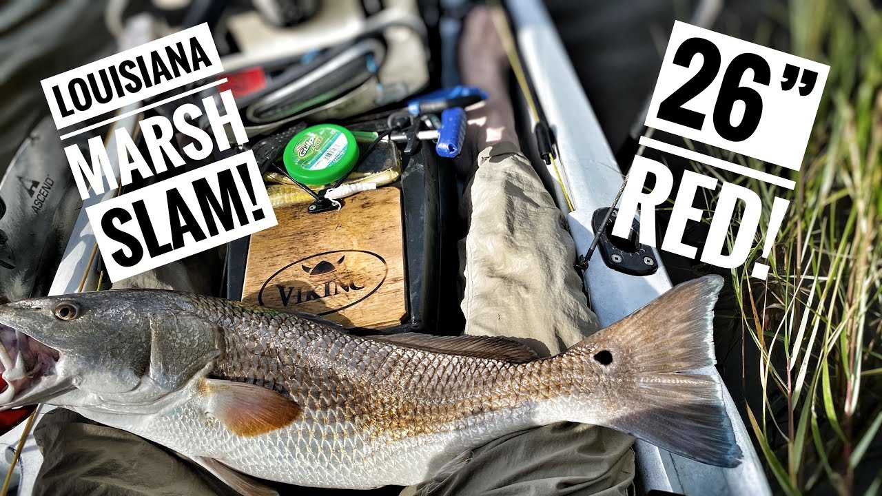 Kayak Fishing Louisiana “A Hopedale Marsh Slam!” YouTube