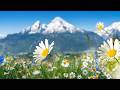 Peaceful Spring Meadows, Beautiful Relaxing Music, Peaceful Soothing Music, by Tim Janis