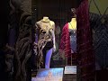 Breaking News: Taylor Swift Mini Exhibit Opens in Hollywood Studios!
