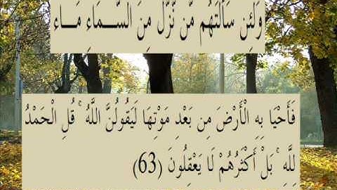 القران الكريم سورة العنكبوت الأية 63.wmv