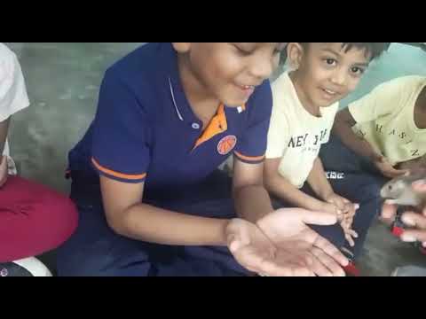 international montessori house of children - field trip to Prani - The Pet Sanctuary