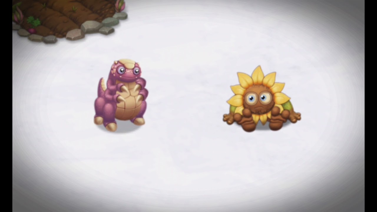 Repatillo And Flowah Duet MSM DOF