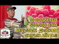 "1-гектардан 4 МИЛЛИОН сом табам!"  МАЛИНА ӨСТҮР! СБЫТ жактан МАСЕЛЕ болбойт!