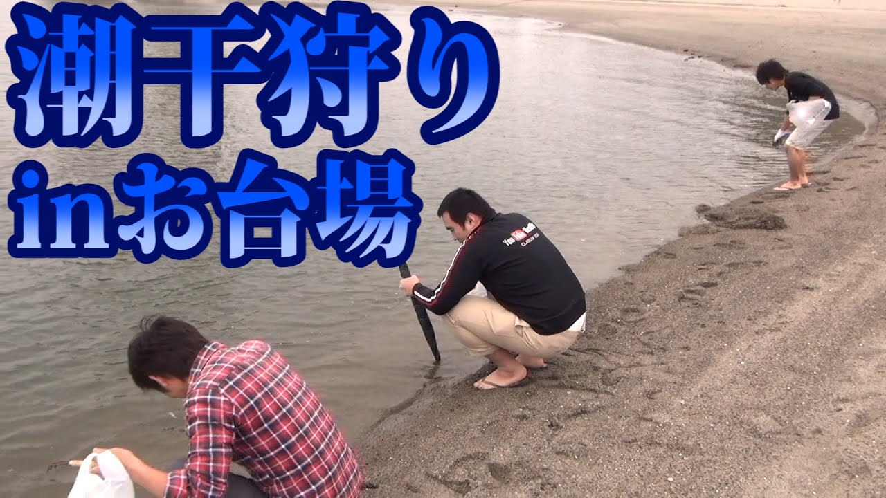 お台場海浜公園の潮干狩り 料金は無料 食べれるの 潮干狩りのコツ お台場海浜公園の潮干狩り 料金は無料 食べれるの 潮干狩りのコツ