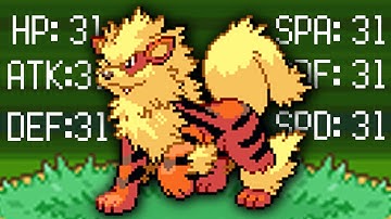 SmallAnt has the Best Luck