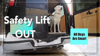 Safety Lift OUT by All Dogs Are Smart 100 views 1 month ago 1 minute, 32 seconds