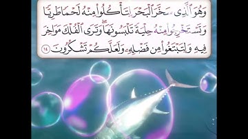 سورة النحل الآية ( 14 )