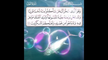 سورة النحل الآية ( 14 )