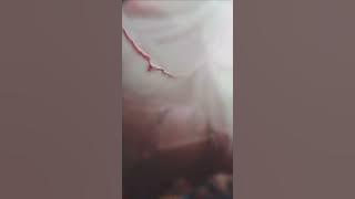 Charlotte Periscope #ep03 #periscope #baby #bigo #viralvideo #lachira #indigo #livestreaming
