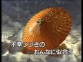 細雪(五木ひろし).flv