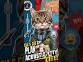 Project Acoustic Kitty The CIA S Unbelievable Cat Spy Mission History mp3