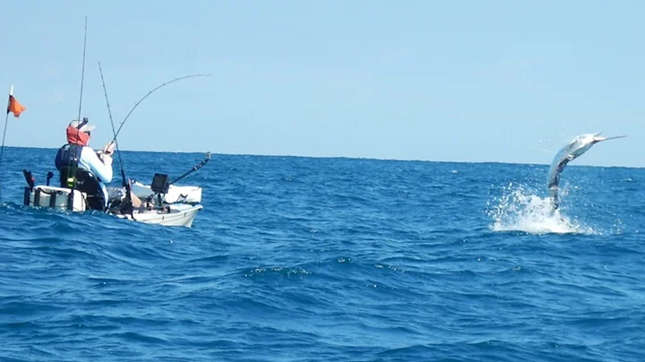 Sailfish Frenzy! - DEEP BLUE Kayak Fishing