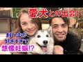 【家族紹介】大家族フォーサイス家のアイドル！長男にデレデレな愛犬の驚愕エピソード公開