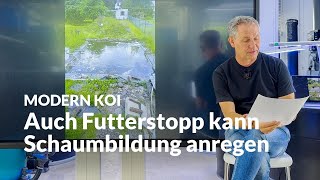 Why is my water suddenly foaming so abnormally? | Modern Koi Blog #7500
