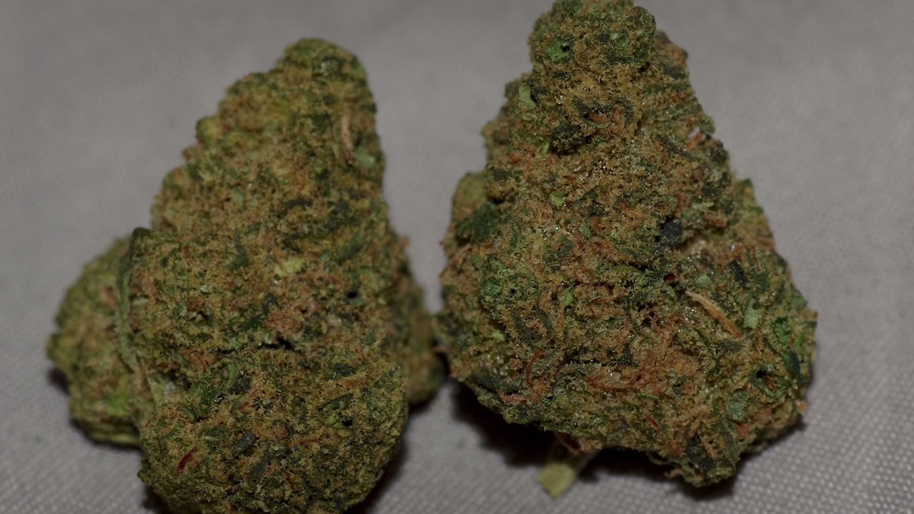 Orange Pie Strain Review