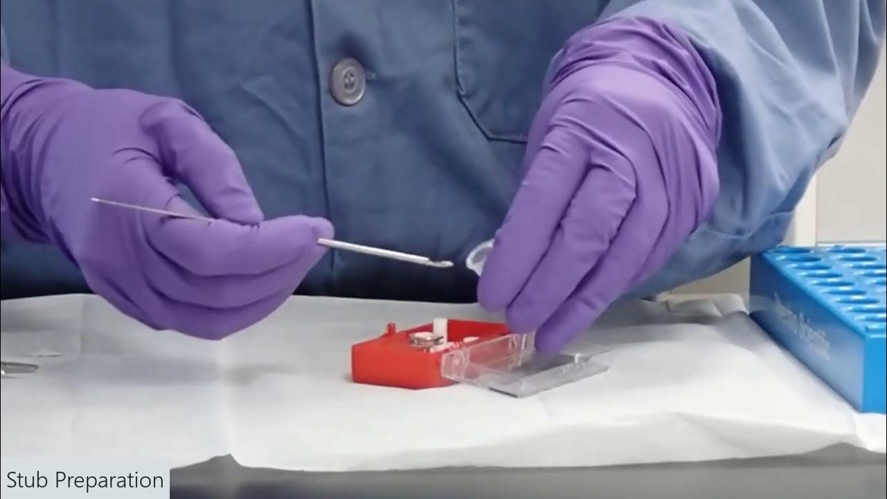 sem-sample-preparation-powdered-samples-youtube