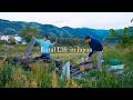 Real Life in the Japanese Countryside | Homemade Yakitori and Quiet Nights