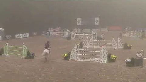 Video of ELSA ridden by PHILIP RICHTER from ShowNet!