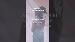 Memory Consolidation