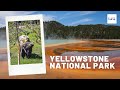 Yellowstone National Park: What to See on the South Loop