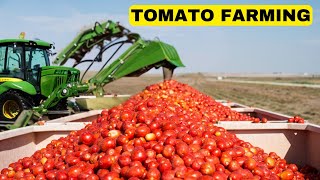 🍅Tomato Transformation: Seed to Sauce in 10 Mins🍅🍟.Grow EPIC Tomatoes