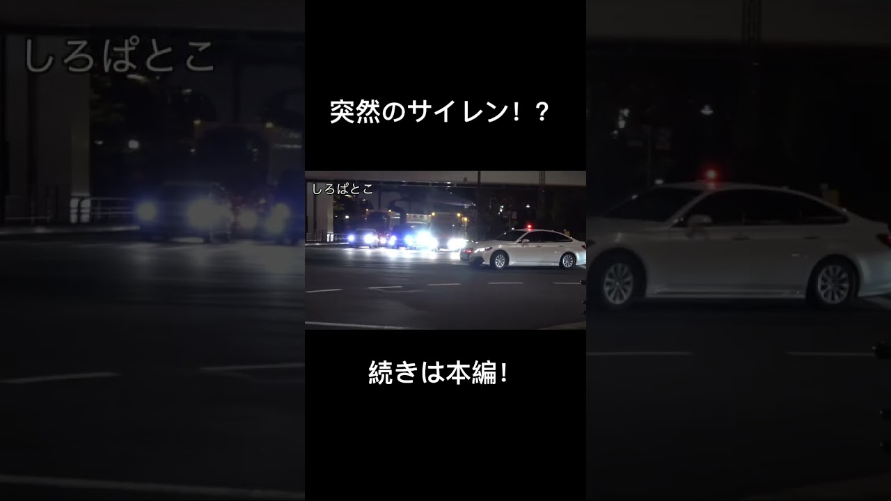 #覆面　#交通違反　#交通機動隊