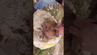 Define Avı Treasure Hunt