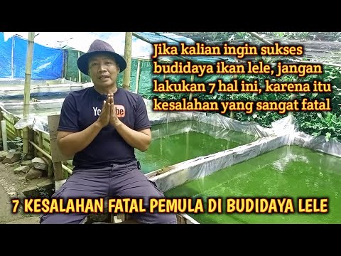 Video: Apakah yang berlaku jika kolam saya tidak rata?