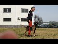 Formación del módulo de protección para futuros instructores caninos. Seminario Juan Carlos Moreda