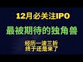 12月必关注IPO|2020年最被期待的独角兽|Airbnb股票分析(ABNB)|CC字幕