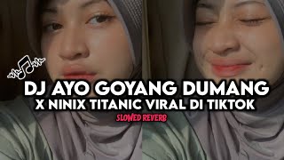 DJ AYO GOYANG DUMANG X NINIX TITANIC VIRAL TIKTOK (Slowed Reverb)