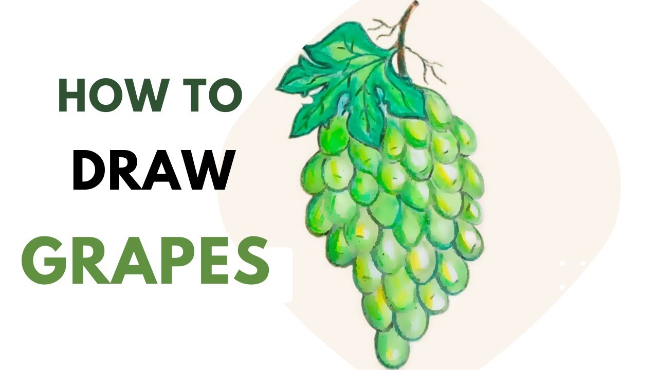 HOW TO DRAW GRAPES Very Easy Drawing Step by Step Art Video
