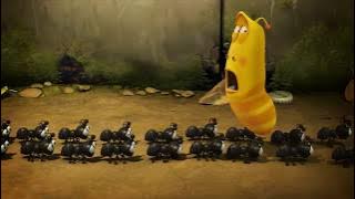 LARVA- Season 1 Episode 31 ~ 45