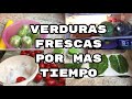 Cómo conservar y refrigerar verduras/FABI CEA